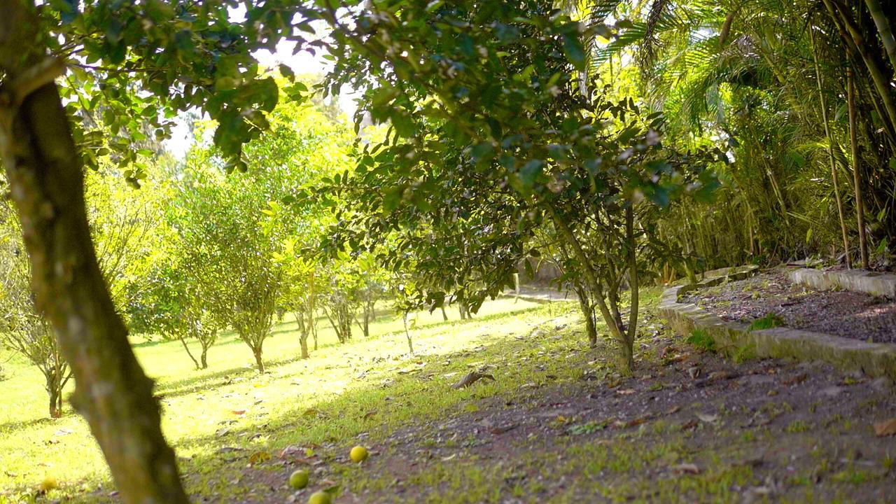 Pousada Bem Viver Ubatuba Extérieur photo